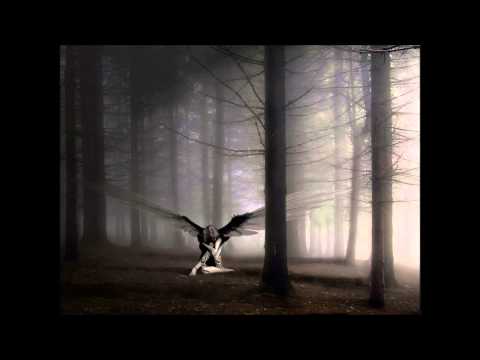 Paul van Dyk vs Dave Darell - Found An Angel (Audiomash Mashup)