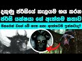 අදටත් මිනිසුන් බය කරන ජර්සි යක්ෂයාගේ �