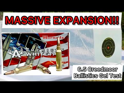 DEEP ENOUGH?! 6.5 Creedmoor Hornady American Whitetail Ammo Test