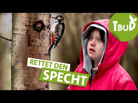 Baumbewohner (Folge 107) | Tiere bis unters Dach