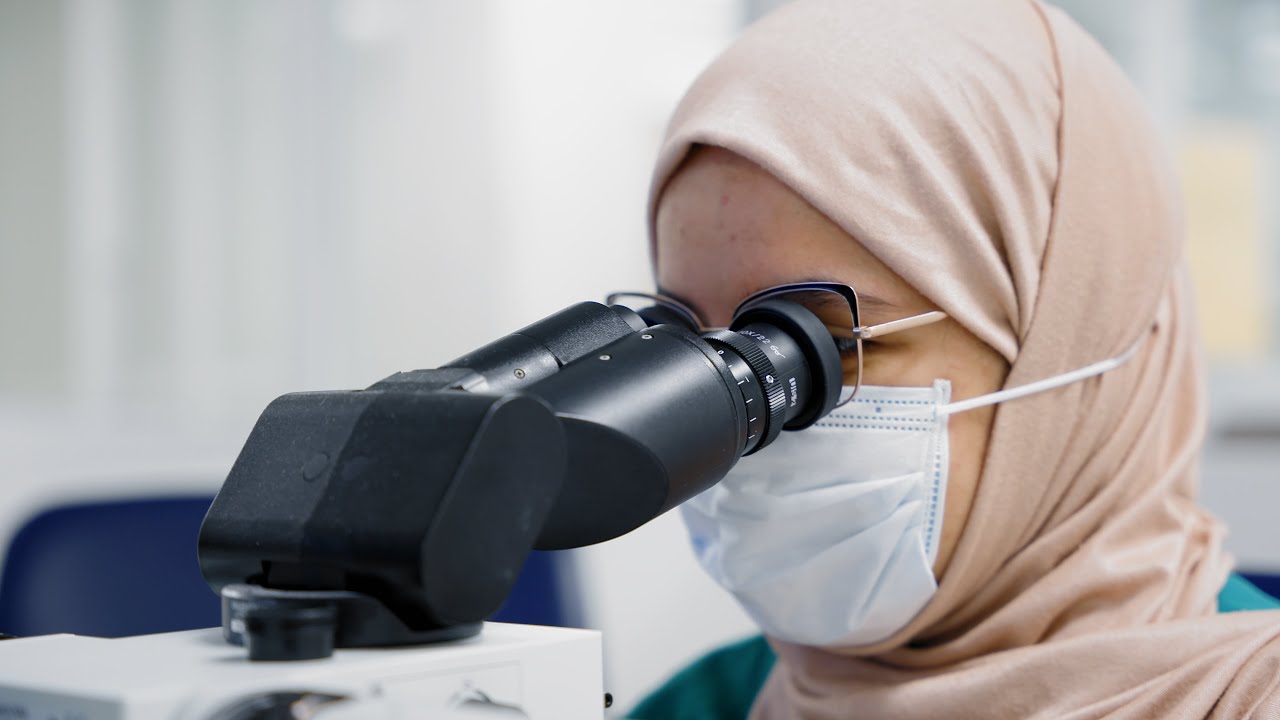 UF Graduate Program in Biomedical Sciences: Advancing Discovery