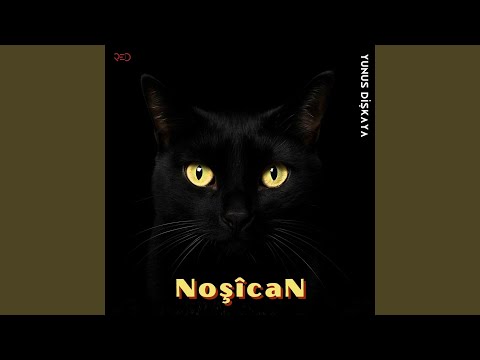 Ketina paytexta Noşîcan