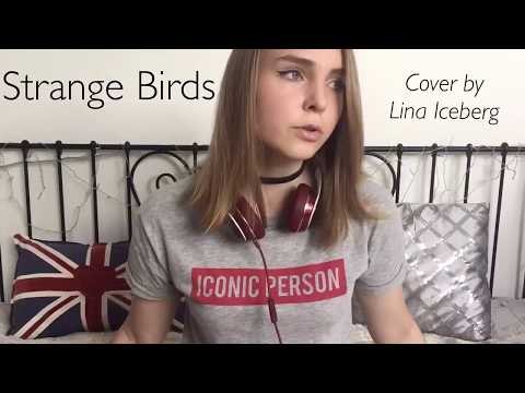 Strange Birds — Birdy (cover by Lina Iceberg)