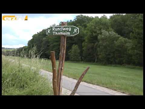 Wandertag in Thalheim