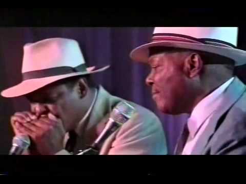 John Cephas and Phil Wiggins - Baby, What You Want Me To Do, Walking Blues (1999).mp4