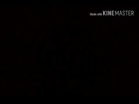 Putzgrilla x 9 miller - papi (letra)