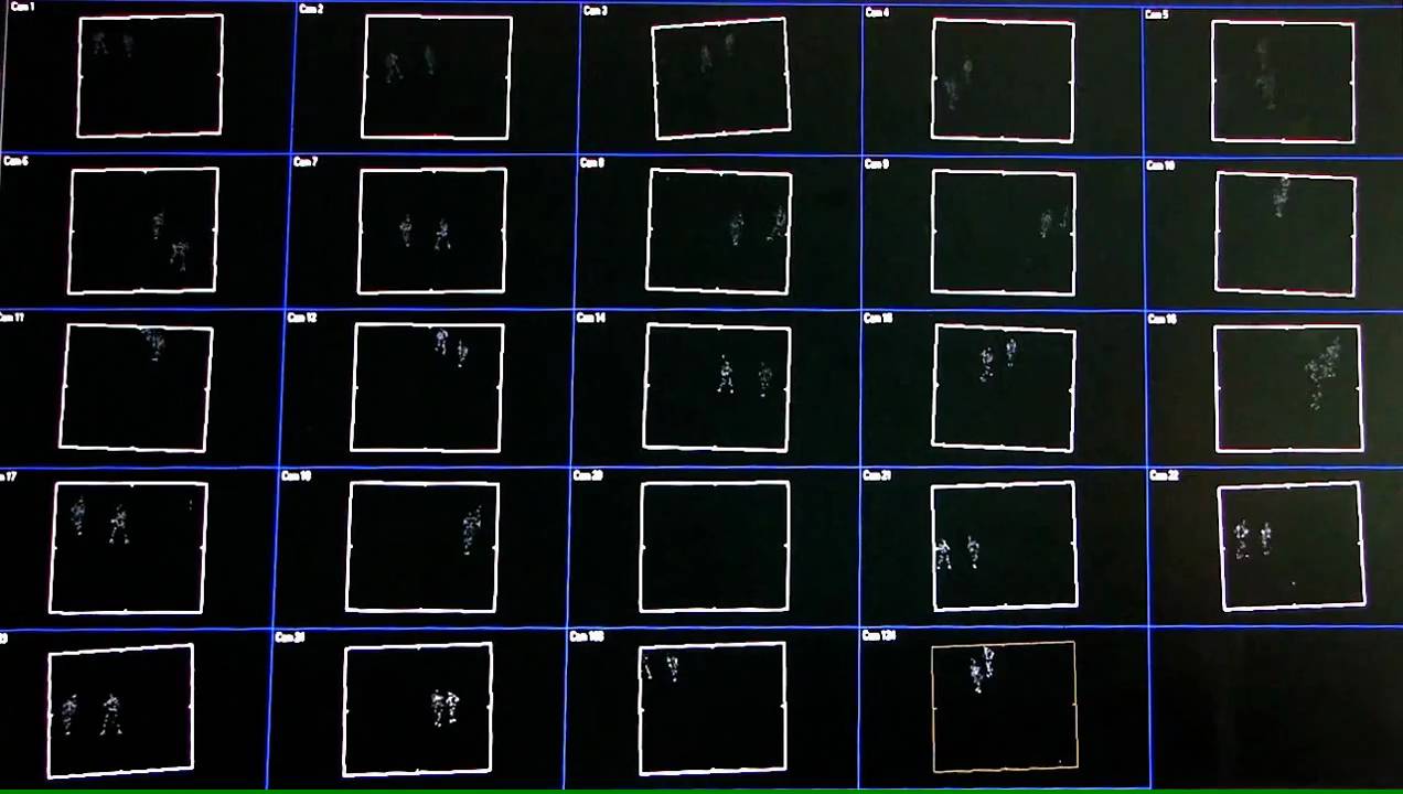 Optical Motion Capture Processing 101 - Raw 2D data
