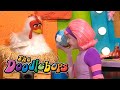 Chicken And The Eggs The Doodlebops 305 Full Episode Kids Show