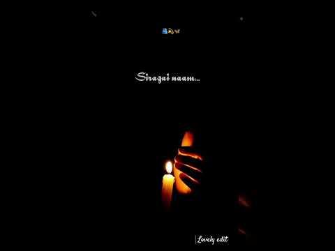 🦋kaatrile siragai naam virithal adharkidedhu Samy 🫂#tamilsong #love #gypsy