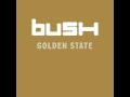 Hurricane - Bush