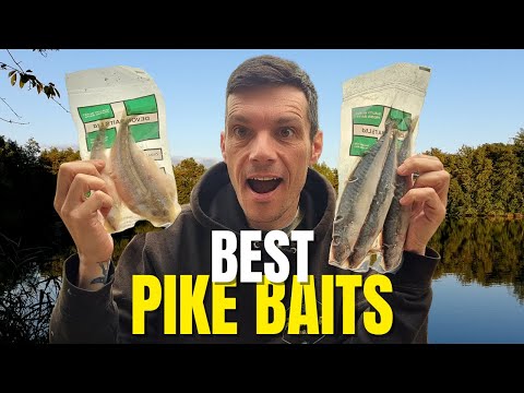 Best Deadbaits for Pike Fishing (My Go-To Choices)