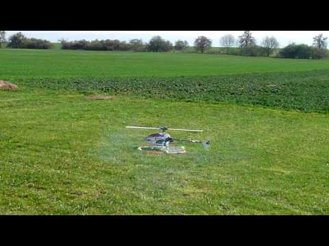 Tennisbälle sind vielleicht doch nicht die beste Idee