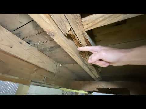Sister The Joists