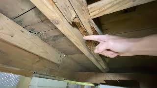 What Does It Look Like to Sister Floor Joists How Should It Be Done