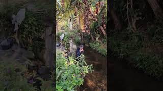 Download lagu gadis desa cantik mandi di sungai,air nya jernih banget mp3