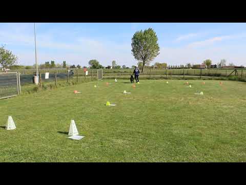 Elena e Naghì- Gara Online Rally Obedience Csen -GE