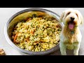 HOMEMADE DOG FOOD Healthy Dog Food Recipe
