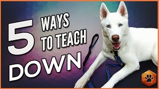Video: Teach a Dog to Lie Down