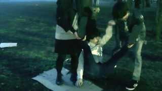 sugardrop [breeze flower]