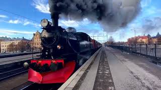 crying baby elephant & Man Crying Train Monkey | Stops the Train Beamng. drive | Train Simulator
