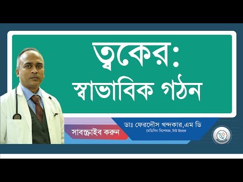 ত্বক:: স্বাভাবিক গঠন।
