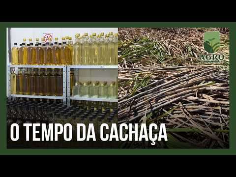 O tempo da cachaça: tradição que nasce na terra de Monte Alegre de Minas