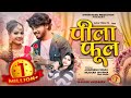 Pila Phool Shivani Vaishnav CG Song 2025 Superhit Love Track New Chhattisgarhi Viral Song
