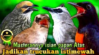 Download lagu masterannya isian papan atas jadikan trucukan semakin istimewah||kombinasi sangar mp3 Download lagu masterannya isian papan atas jadikan trucukan semakin istimewah||kombinasi sangar mp3