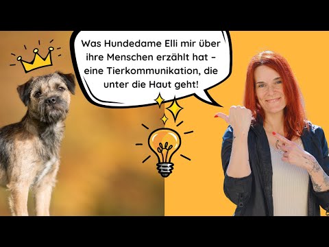 Was Hundedame Elli über ihren Hundetrainer denkt - eine berührende Tierkommunikation