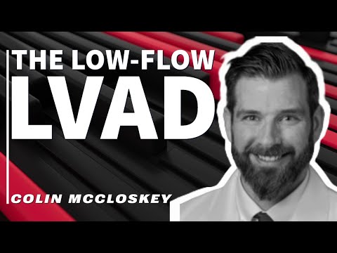 The Low-Flow LVAD