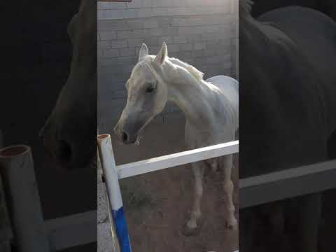 ٢٥ ديسمبر ٢٠٢٠