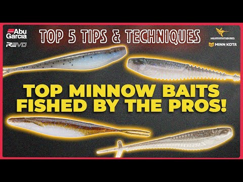 These minnows are blowing up tournaments! Abu Top 5 Tips, Trends in Bass Fishing!