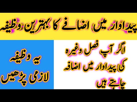 Best Wazeefah Fro Production | paidawar may izaafy Ka Wazeefah | Fatima Digital Network