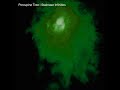 Porcupine Tree Staircase Infinities 1994