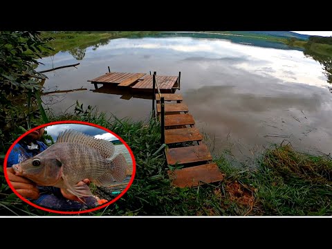 We built a platform to fish for big tilapia in the rain 🌧️