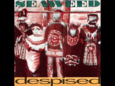 Seaweed - Stale