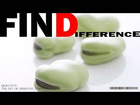 What's the difference? ep064. fava bean