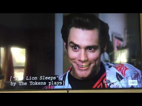 The Lion 🦁 🛏 Tonight