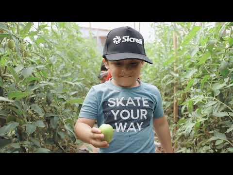 EP.1  Web Série PUFV - APAE Itapejara d'Oeste