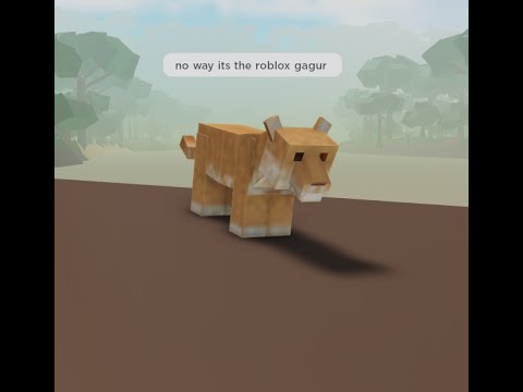 Amazon Ascension, Jaguar vs 3 Black Caimans