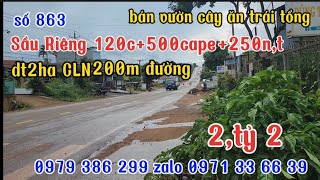 Download the video "số863🌼bán v sriêng 120c,t500cape,250n,tiêu, dt,2h,190m,đ,2,ao cá, 2,2ty,zalo 0979 386 299,"