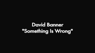 David Banner &quot;Something Is Wrong&quot;