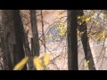 Александр Розенбаум. "Вальс бостон" (cover) 