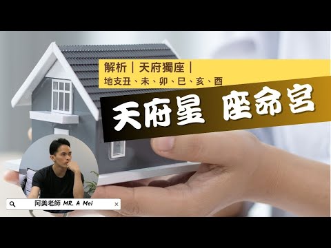 紫微天府坐命女