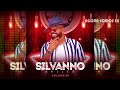 AGORA SOMOS EX SILVANNO SALLES VOL 28