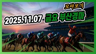 2025년 11월 7일 금요 부산경마 전체경주 모아보기