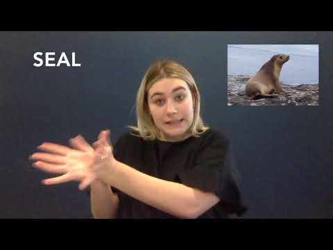 How to Sign Underwater in Auslan