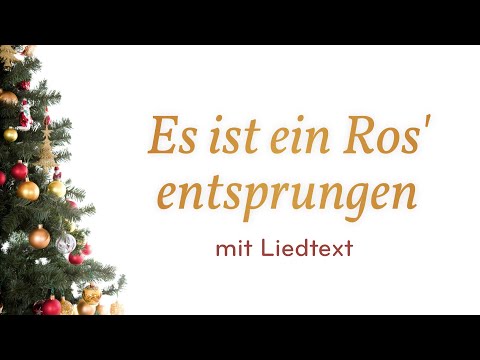 Es ist ein Ros' entsprungen (mit Liedtext)