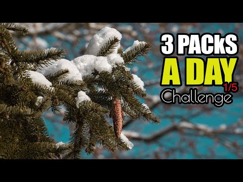 Three Packs A Day Winter-Challenge 1/5 (DJI O3 Air Unit)