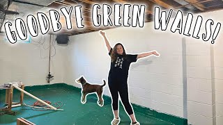 Turning my Basement into a Reptile Room! // Painting the Walls (Part 1)